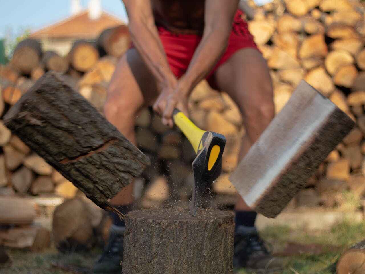 The Steps Involved in Our Tree Care Process in Preston, MN